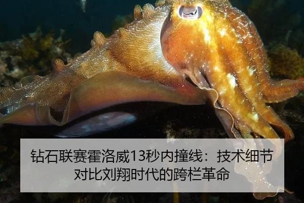 钻石联赛霍洛威13秒内撞线：技术细节对比刘翔时代的跨栏革命